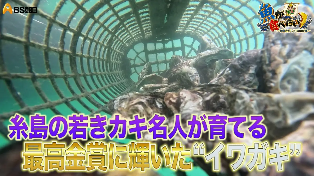【中古】 魚が鳥を食った話 捕った魚を落とした野鳥が？ 次の表情に「吹いた」「逆ギレじゃん