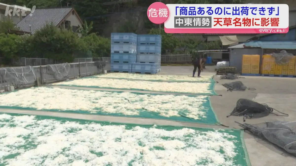 日テレNEWS NNN 5月26日(火) 20:15 いつまで続く中東情勢緊迫化、熊本