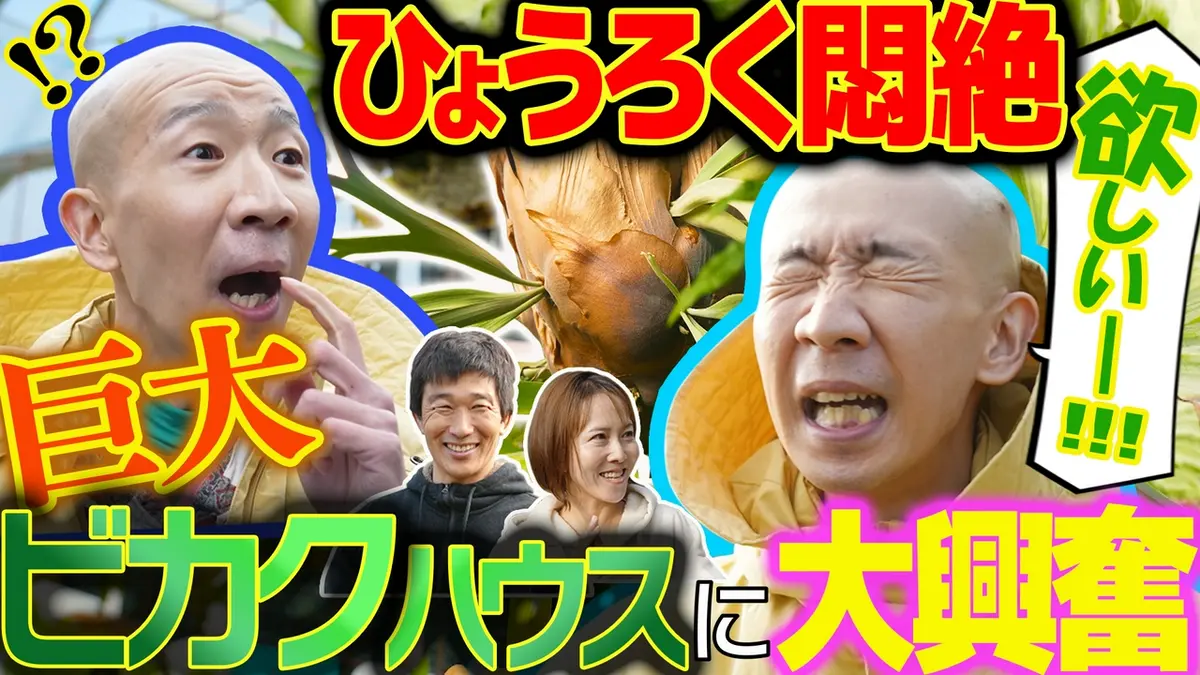 変態植物倶楽部 4月17日(金)放送分 巨大ビカク楽園！Takasaki Farm