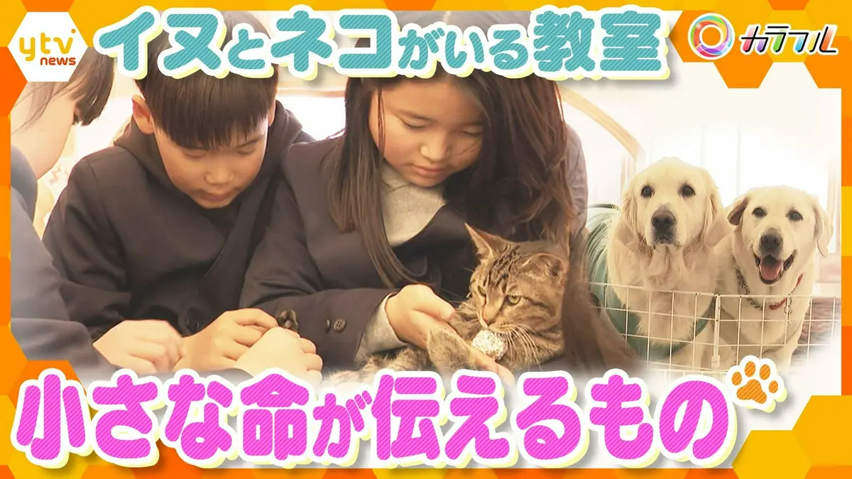 厳選！ytvニュース特集 5月8日(金)放送分 出会いと別れ…「動物介在教育
