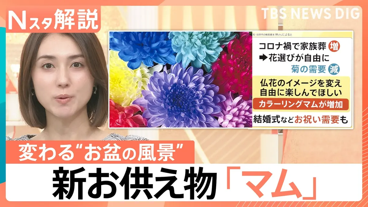 NT(4/10〜4/12発送お休みです)！ TBS NEWS DIG Powered by JNN 8月12日(水)放送分 「夜のお墓参り」が新
