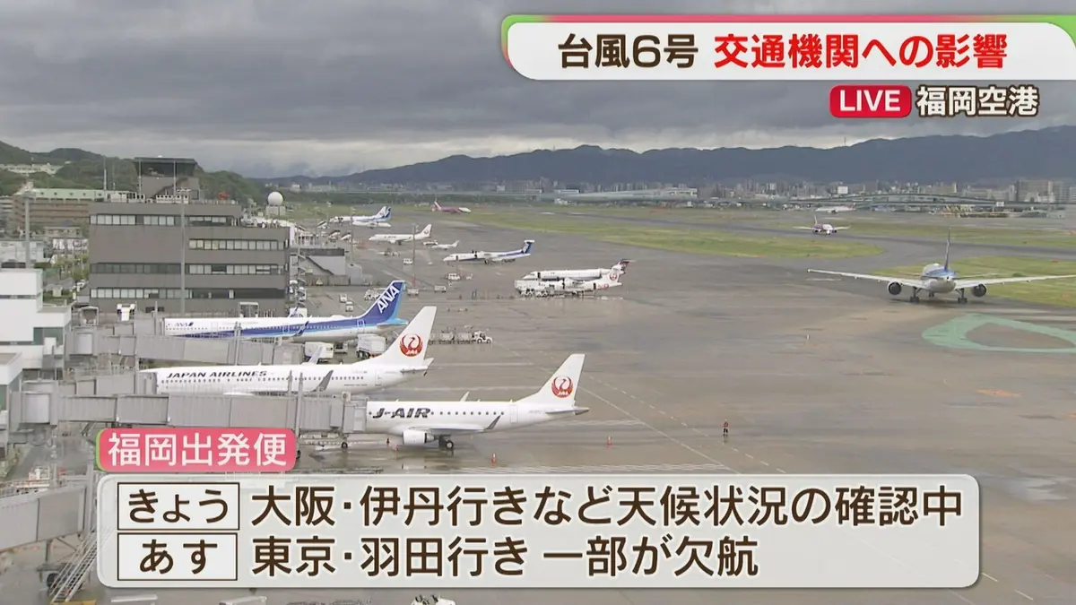 日テレNEWS NNN 6月2日(火) 17:29 【台風6号】空の便に欠航 高速バスに