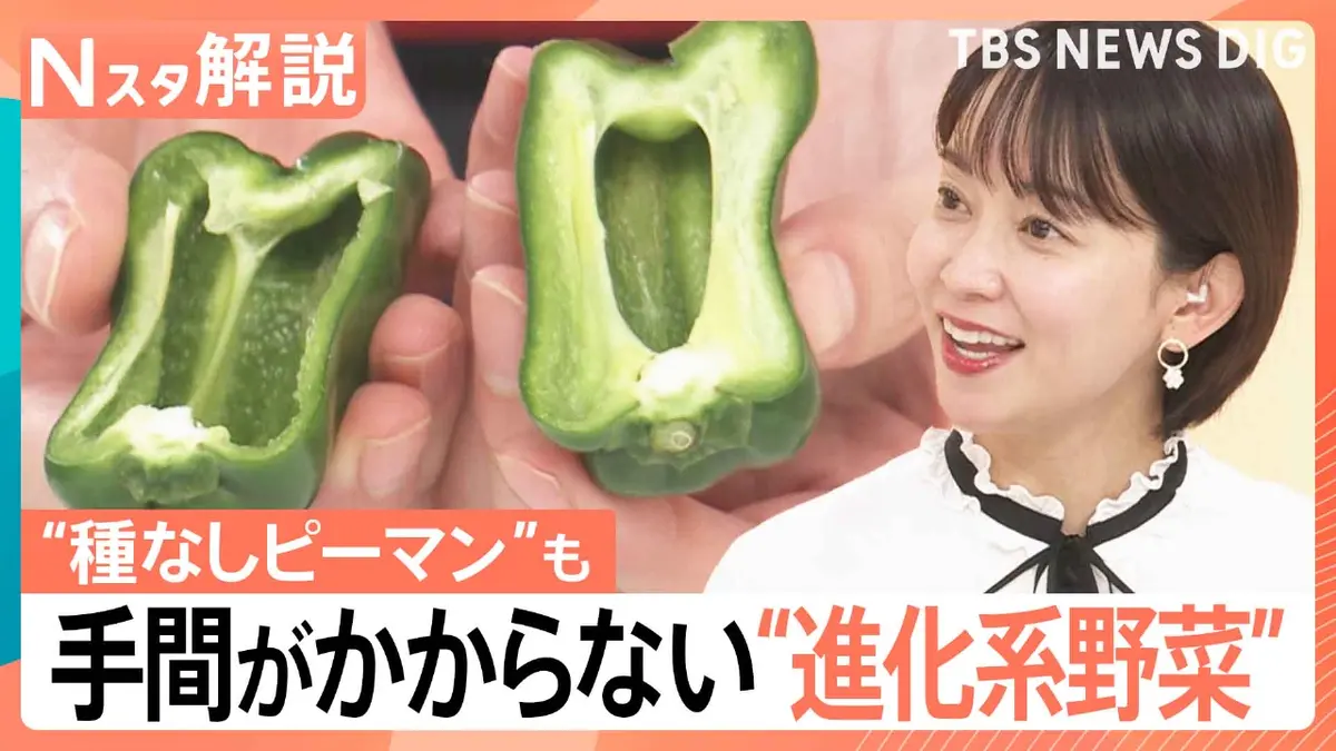 TBS NEWS DIG Powered by JNN 2月25日(水)放送分 “時短ピーマン”に涙の