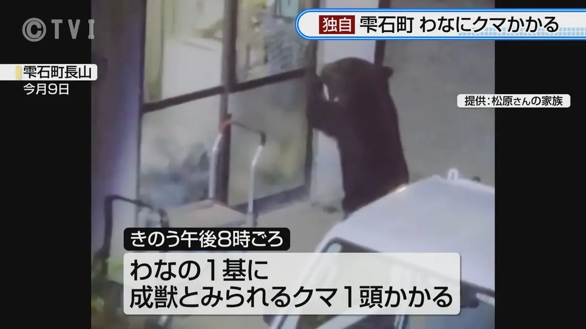 日テレNEWS NNN 7月16日(木) 18:41 雫石町でクマ1頭わなにかかる 町内
