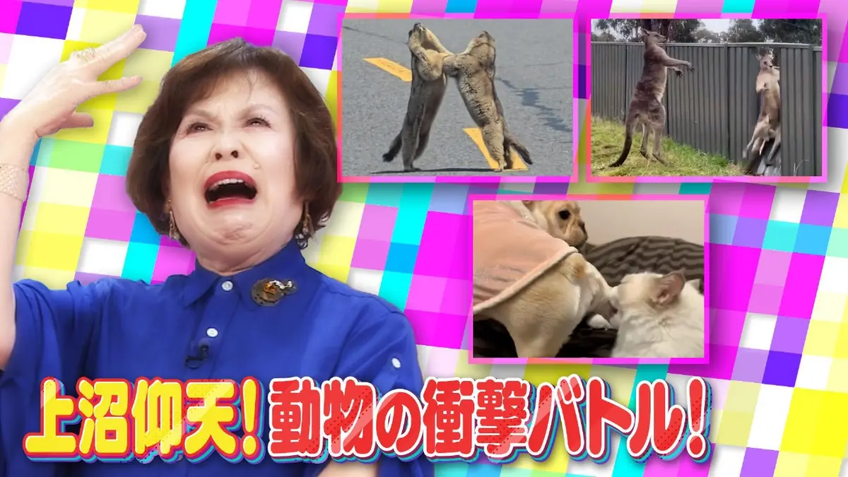 上沼・高田のクギズケ！ 10月19日(日)放送分 混迷する政局に上沼が
