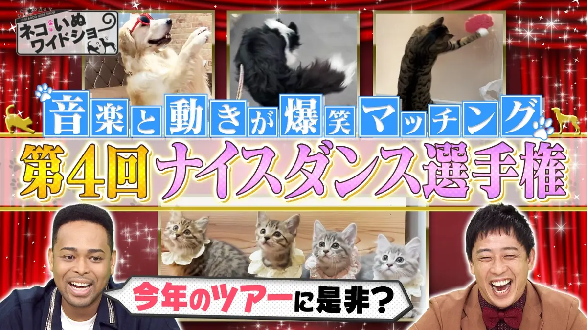 ネコいぬワイドショー 11月21日(金)放送分 ＃153 ゲスト：EXILE