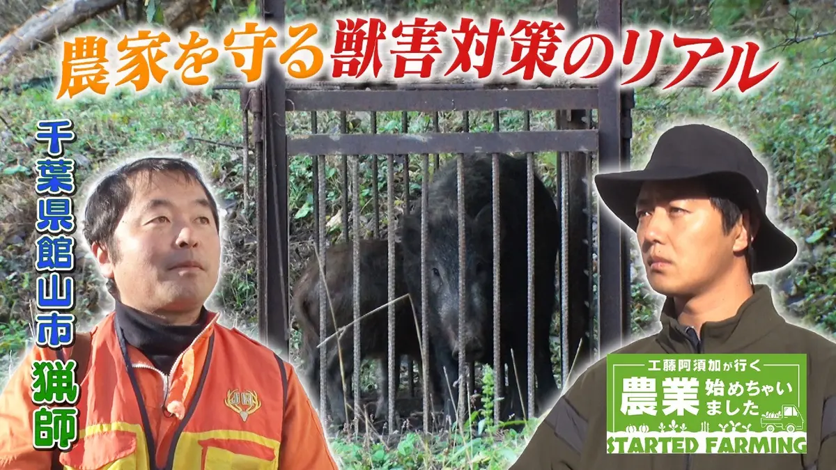 工藤阿須加が行く 農業始めちゃいました 2月18日(水)放送分 獣害から