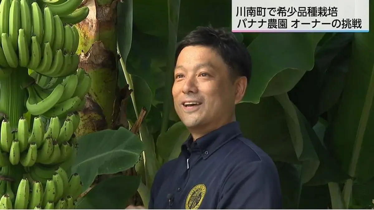 日テレNEWS NNN 10月9日(金) 5:00 国内流通わずか0.1%の希少品種バナナ