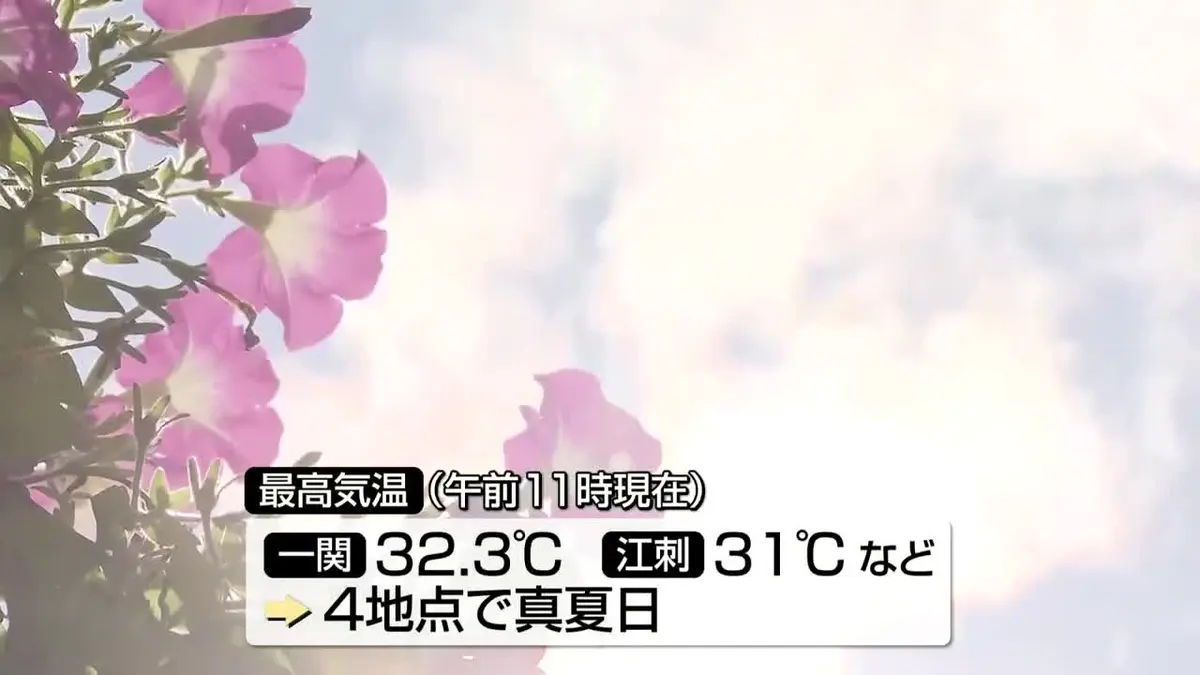 日テレNEWS NNN 7月23日(木) 12:08 「大暑」午後にかけてさらに気温が
