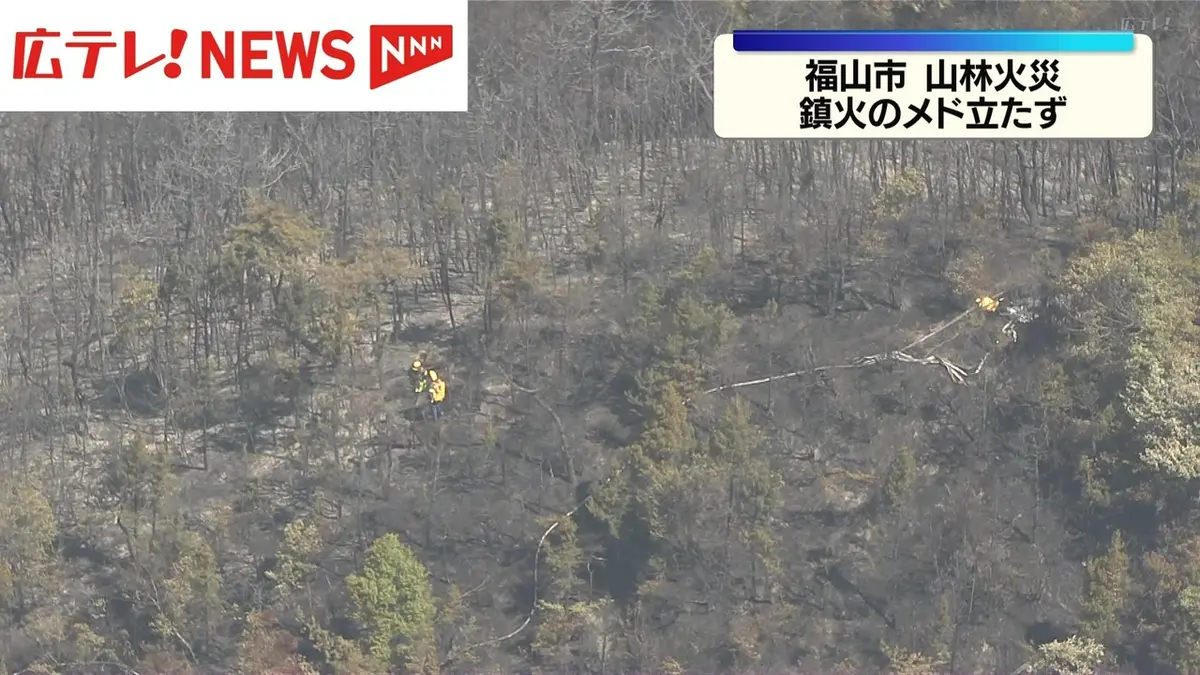 妻の作った　文鎮　風林火山　炎のたからもの　静かに燃える火のペーパーウエイト 日テレNEWS NNN 5月18日(月) 11:58 広島・福山市の山林火災 鎮火のメド