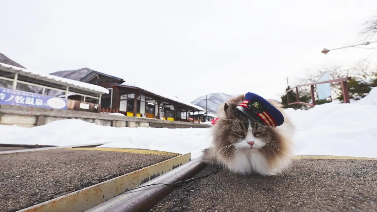 ふにゃ～り日和 2月17日(火)放送分 Vol.99 フォトスポットを紹介する