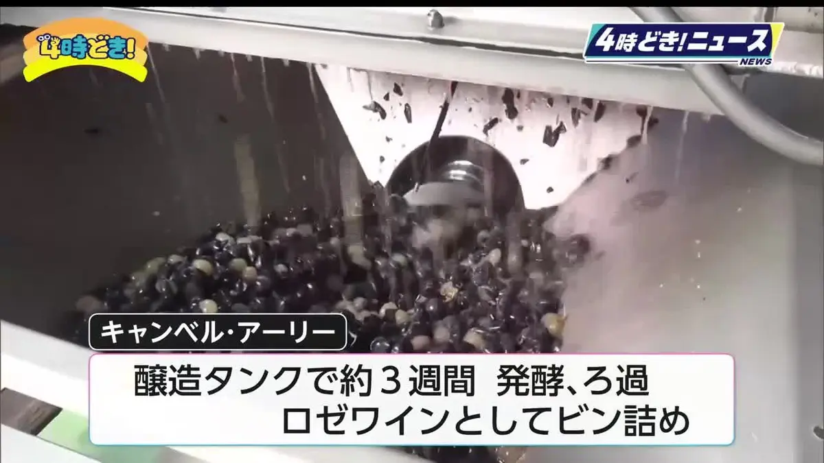 24時間テレビお金使い込む