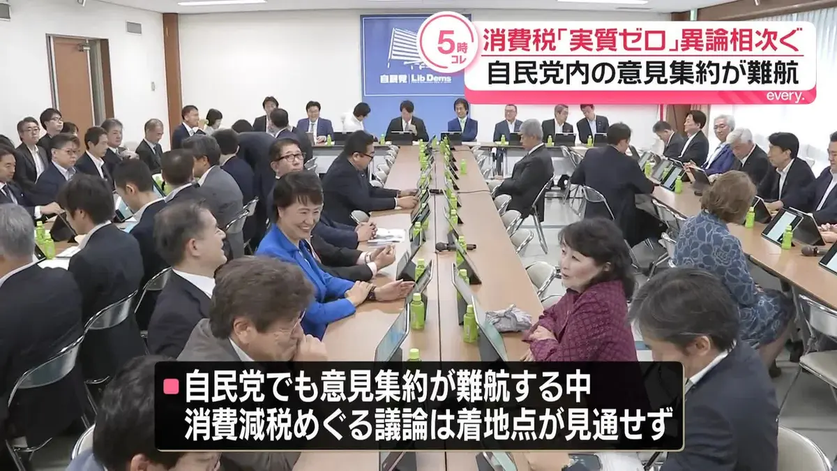 日テレNEWS NNN 6月25日(木) 17:28 消費税「実質ゼロ」異論相次ぐ