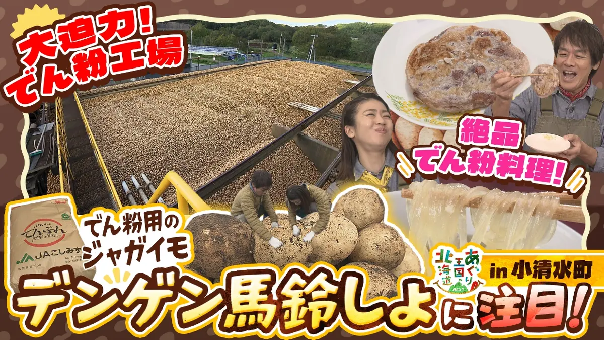 あぐり王国北海道NEXT 11月15日(土)放送分 でん粉原料用のジャガイモ