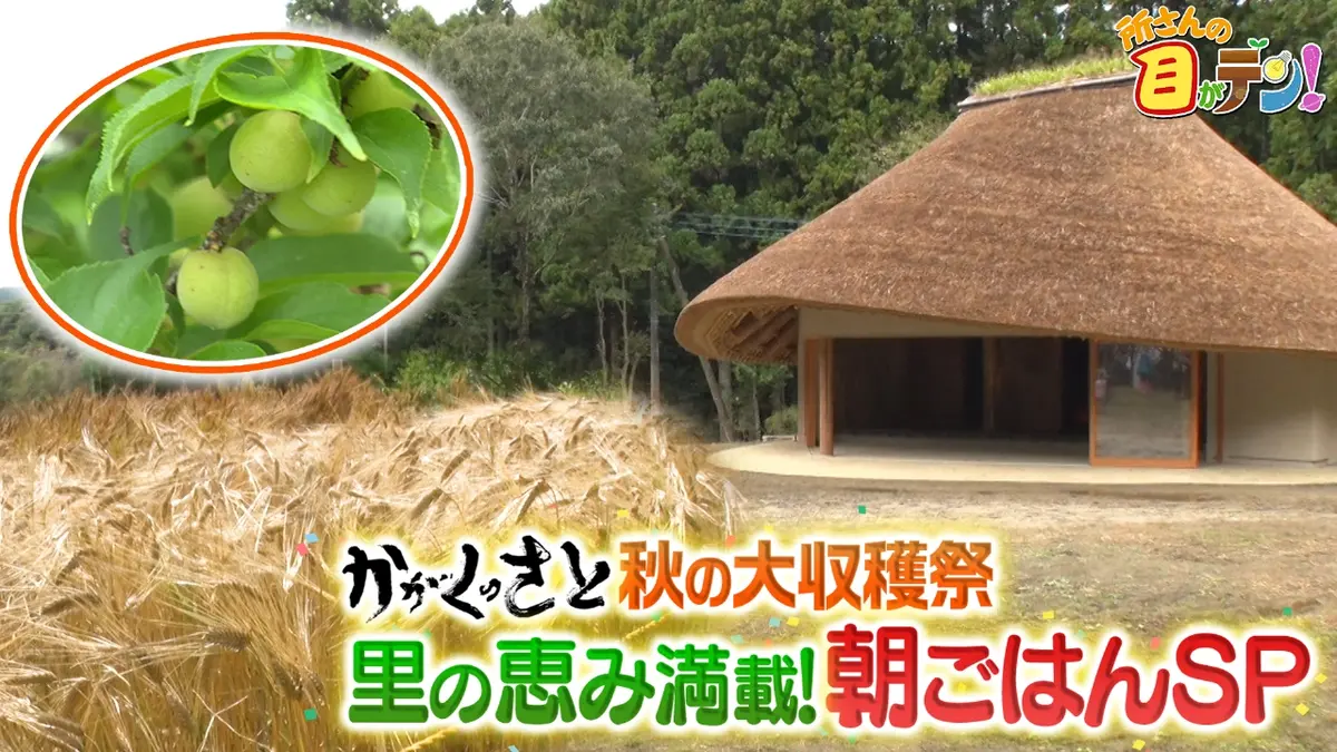 里 の 恵み