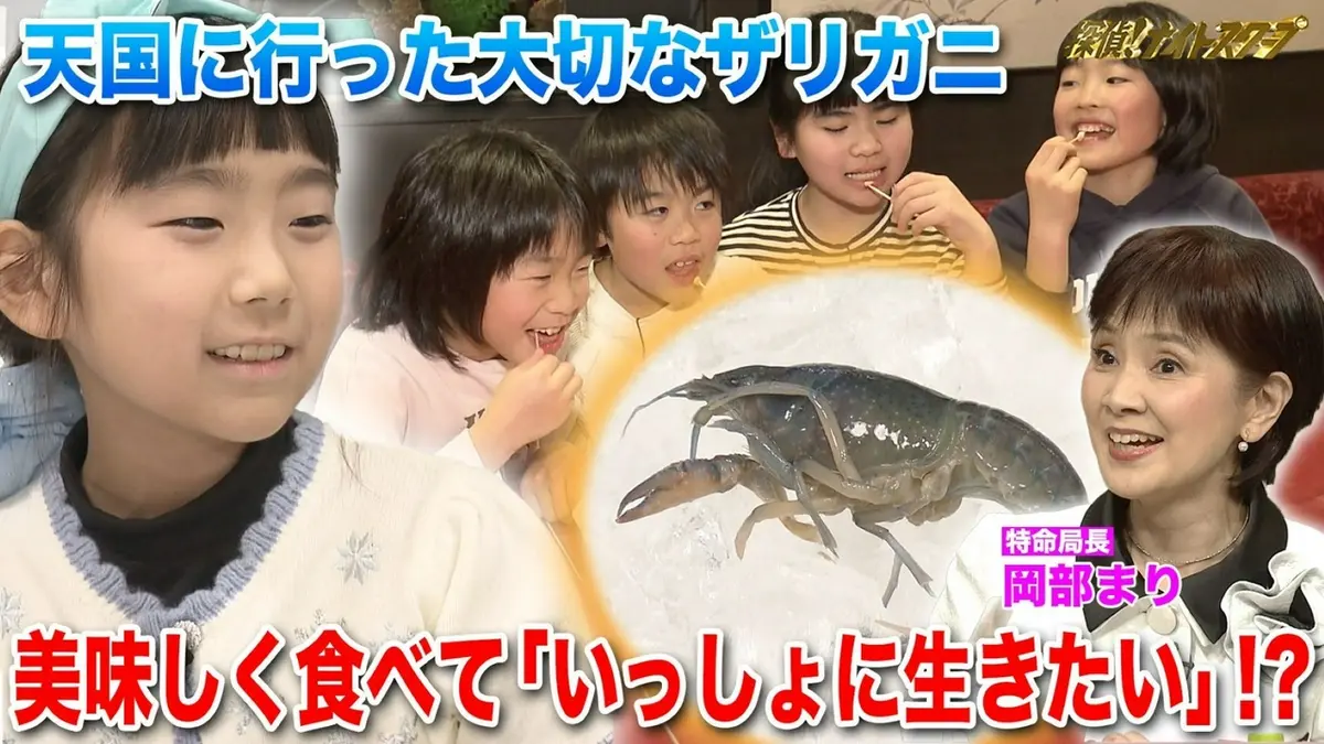 探偵！ナイトスクープ 3月20日(金)放送分 愛を込めてザリガニを食べる