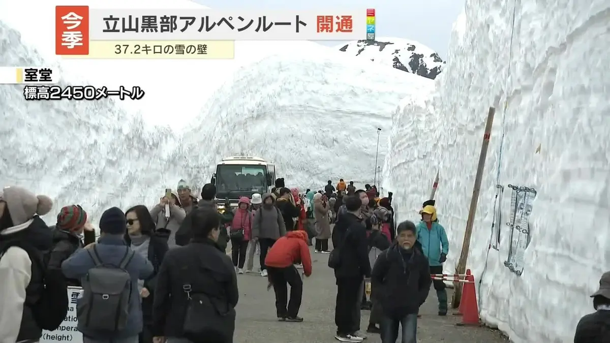 日テレNEWS NNN 4月15日(水) 15:48 立山黒部アルペンルート開通 37.2