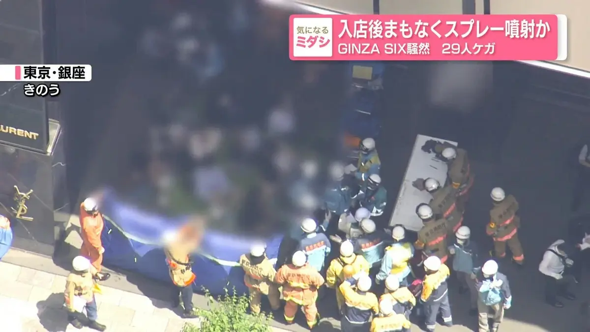 日テレNEWS NNN 5月26日(火) 18:34 入店後まもなくスプレー噴射か