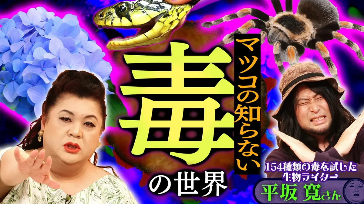 マツコ 嫌い