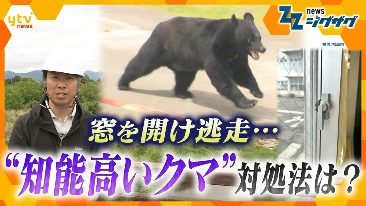 サタデーLIVE ニュース ジグザグ 6月6日(土)放送分 【クマ】蛇口ひねり