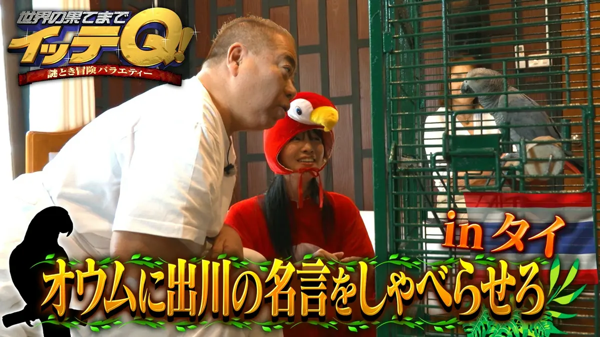 世界の果てまでイッテQ！ 3月22日(日)放送分 13年ぶり名作復活!オウム