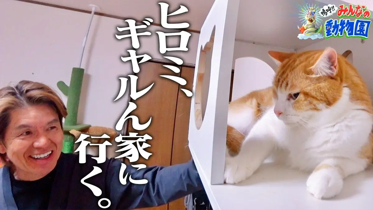 嗚呼!!みんなの動物園 5月9日(土)放送分 池崎×目が見えない天才猫&みり