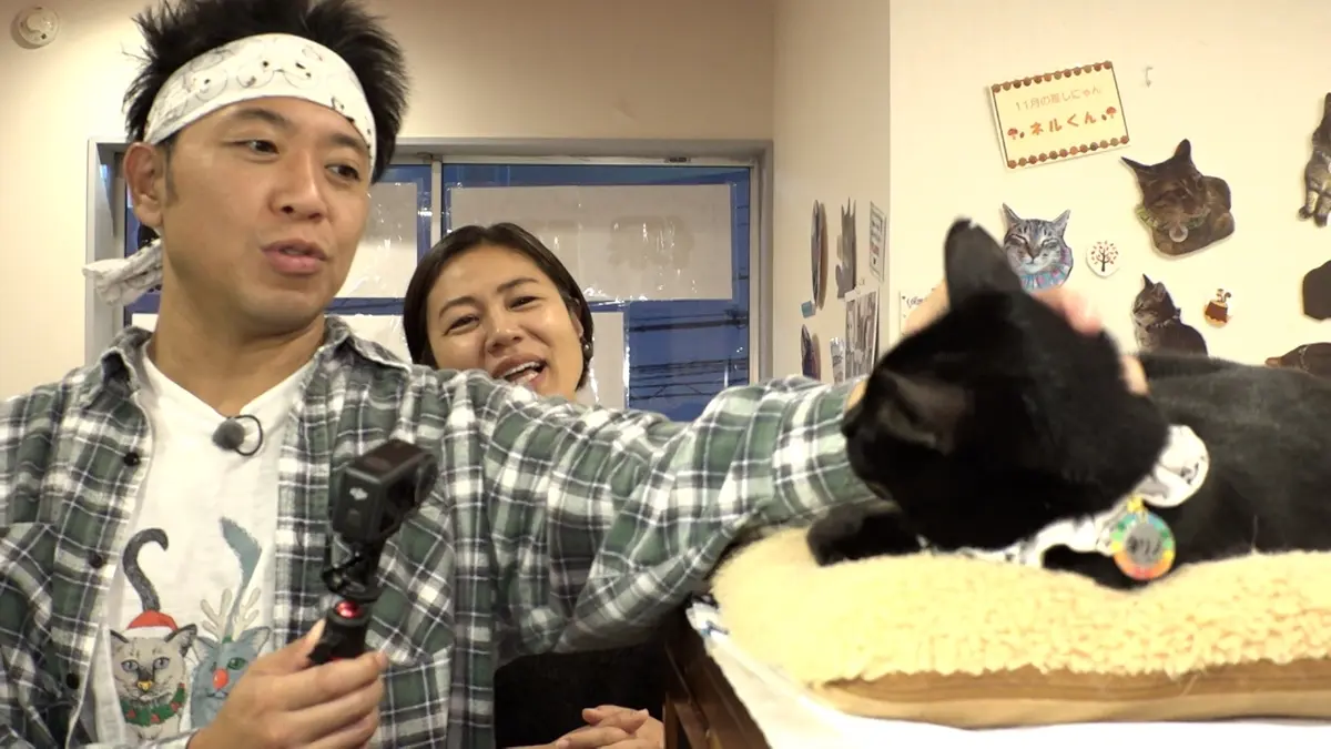 ねこ自慢 1月14日(水)放送分 ヨットで日本一周した冒険好きニャンコが