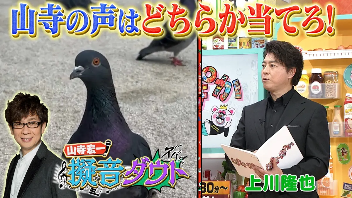 ぽかぽか 12月3日(水)放送分 水曜（2）7色の声色を持つ山寺宏一の声