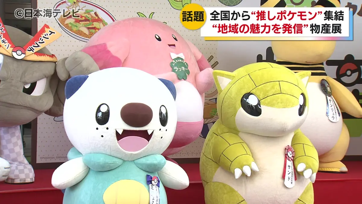 日テレNEWS NNN 7月30日(木) 19:26 全国の「推しポケモン」が鳥取市に