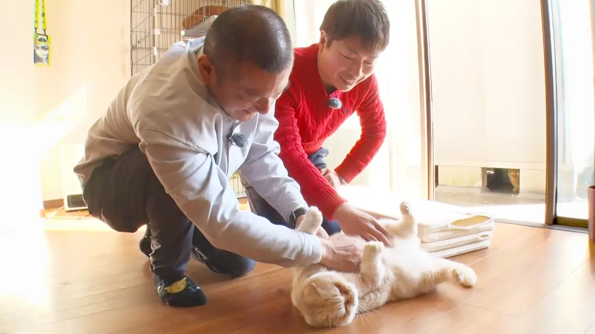 ねこ自慢 2月11日(水)放送分 U字工事が倒産の危機を救った猫に会いに
