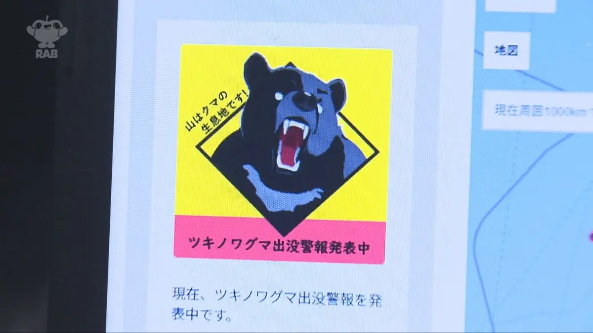 マッスルクマ※交渉前にプロフ一読 明日も笑顔に会えますように、おやくま～☆ ドラゴンボールカード