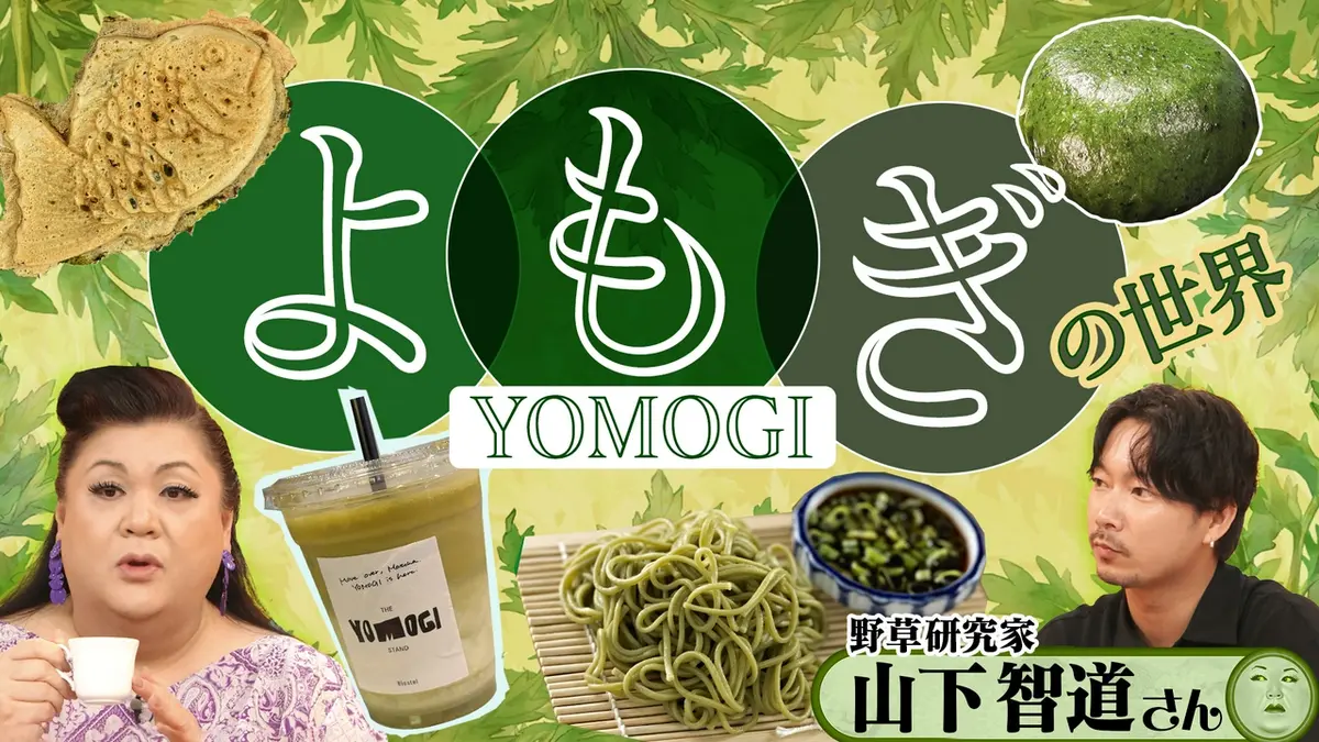 マツコの知らない世界 6月23日(火)放送分 後半「よもぎの世界