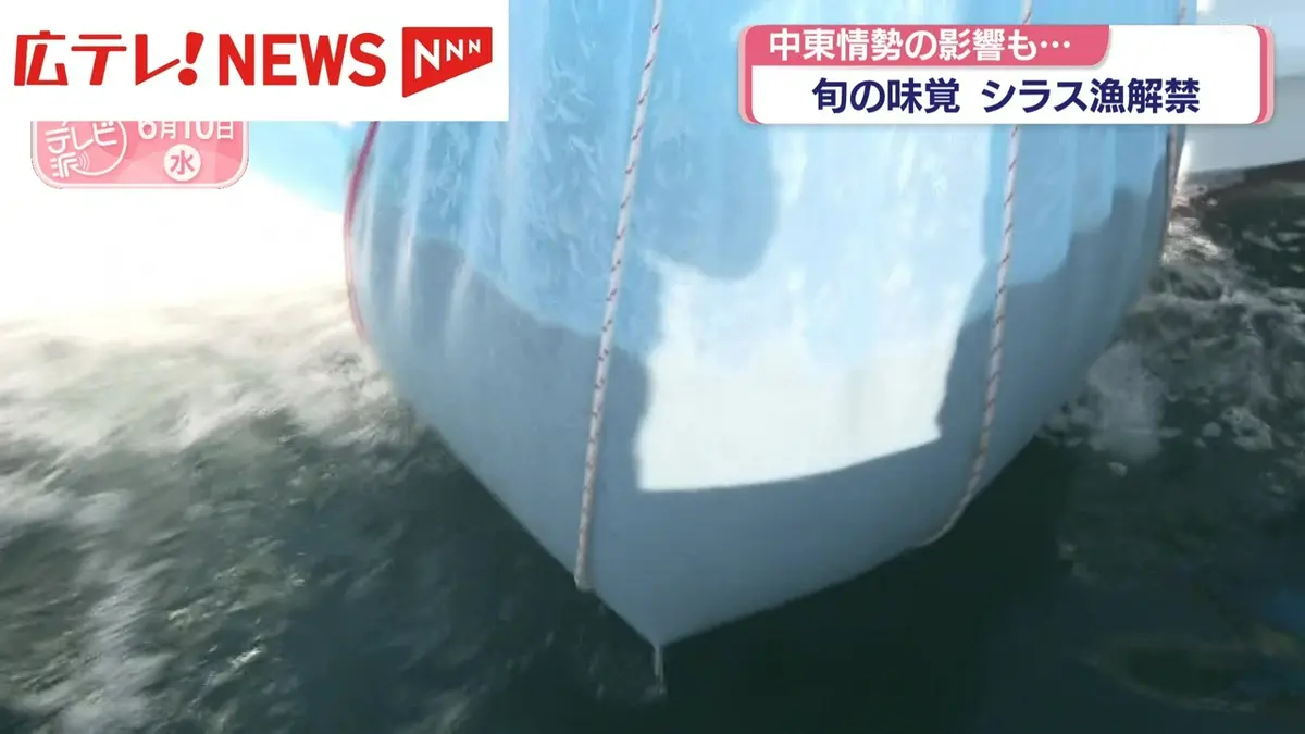 日テレNEWS NNN 6月10日(水) 18:37 瀬戸内の旬の味覚“シラス”漁解禁