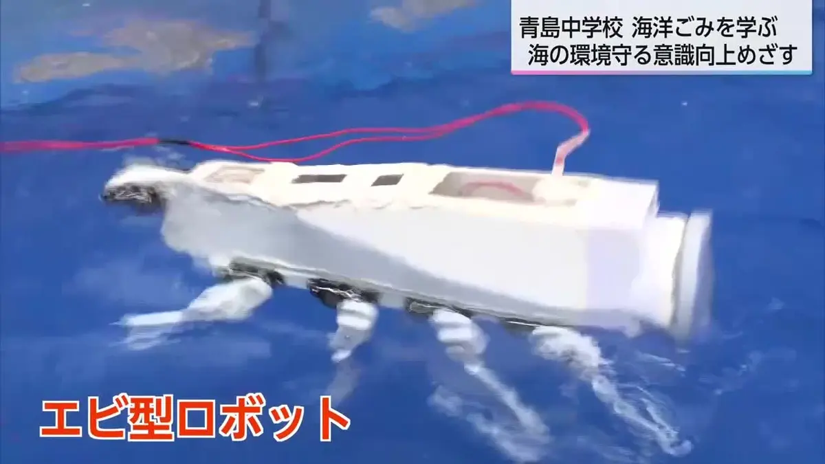 日テレNEWS NNN 6月5日(金) 18:43 海の環境守る意識高める 宮崎市青島