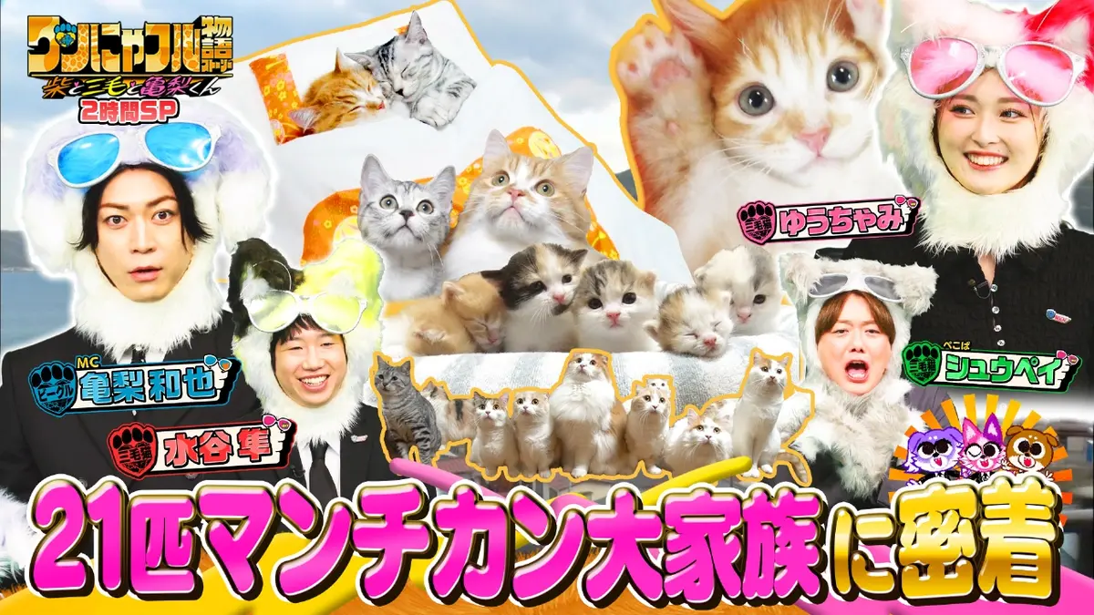 世界を救う！ワンにゃフル物語～柴と三毛と亀梨くん～ 11月26日(水