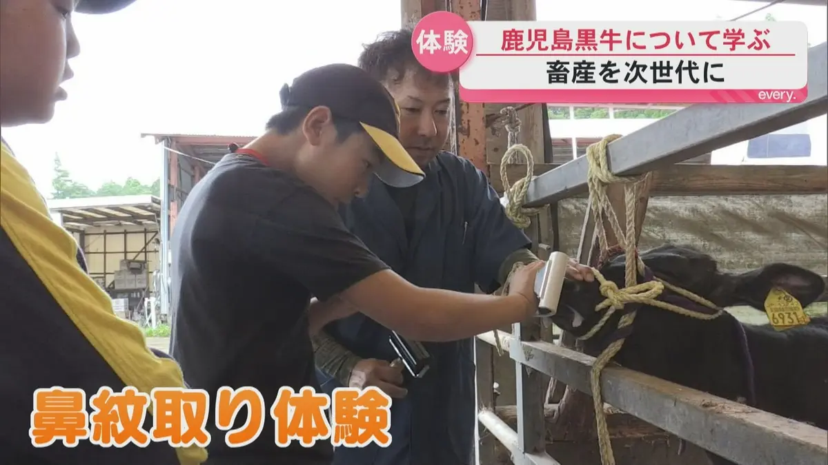 日テレNEWS NNN 6月20日(土) 17:40 小学生が鹿児島黒牛について学ぶ