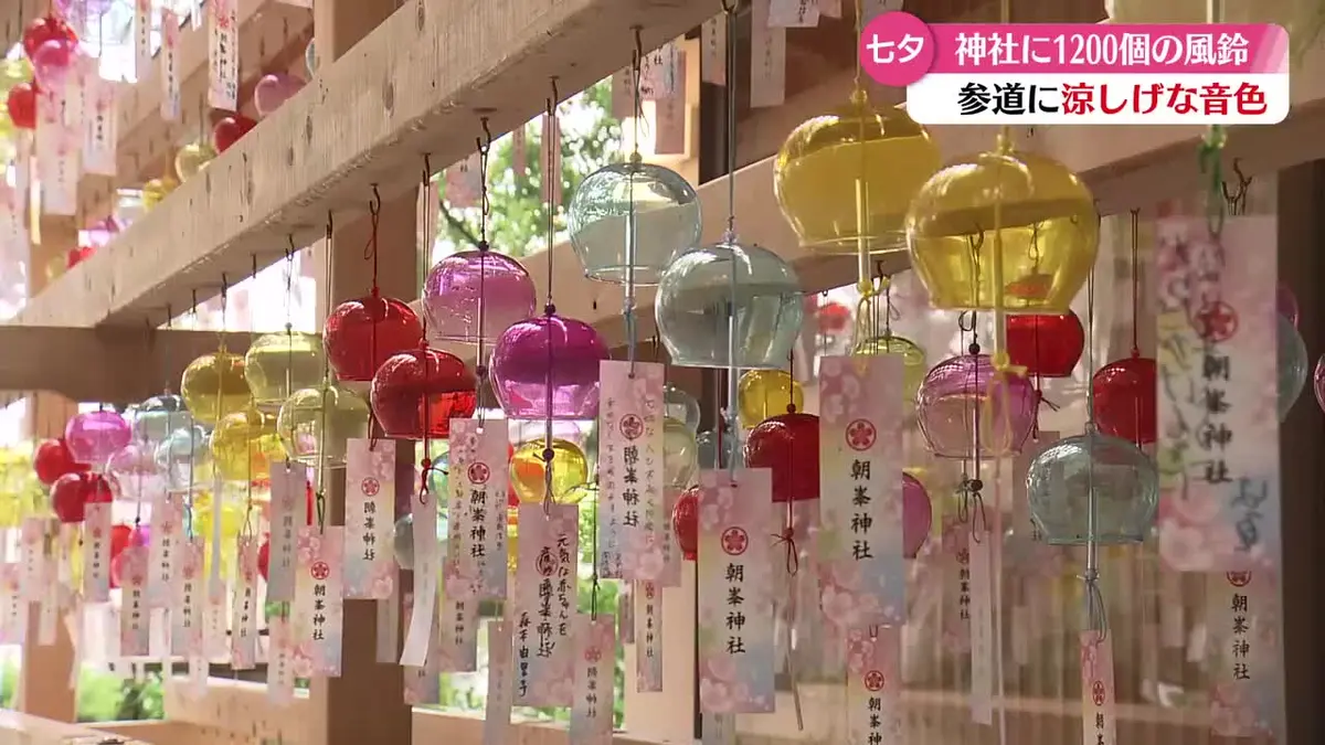 日テレNEWS NNN 7月7日(火) 18:02 《参道に涼しげな音色》高知市の朝峯