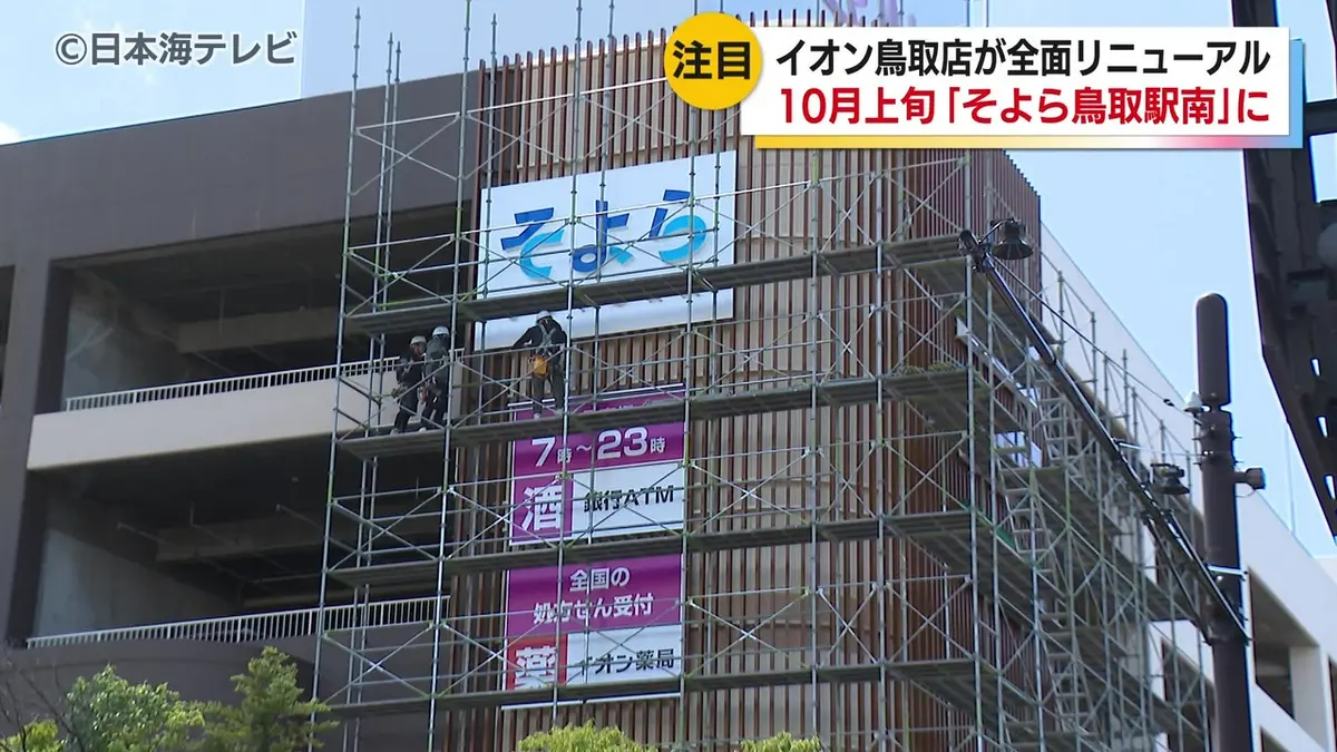 イオン 鳥取 店