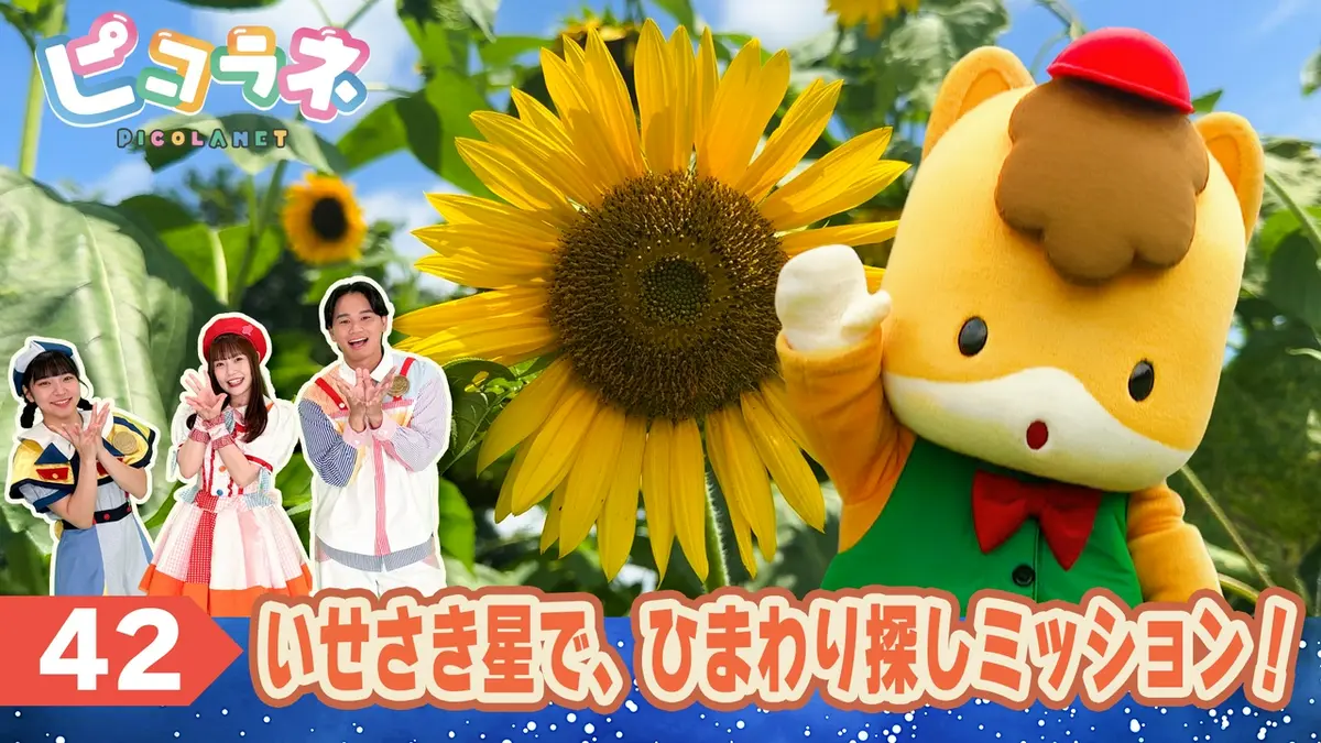 ピコラネ 8月22日(土)放送分 Episode42 いせさき星で、ひまわり探し