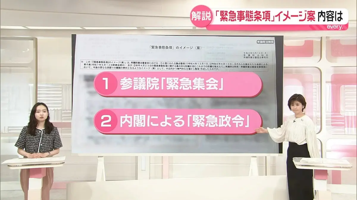 日テレNEWS NNN 5月12日(火) 19:02 【解説】「緊急事態条項」条文の