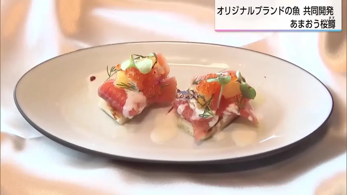 日テレNEWS NNN 6月16日(火) 18:54 宮崎の「サクラマス」×福岡の