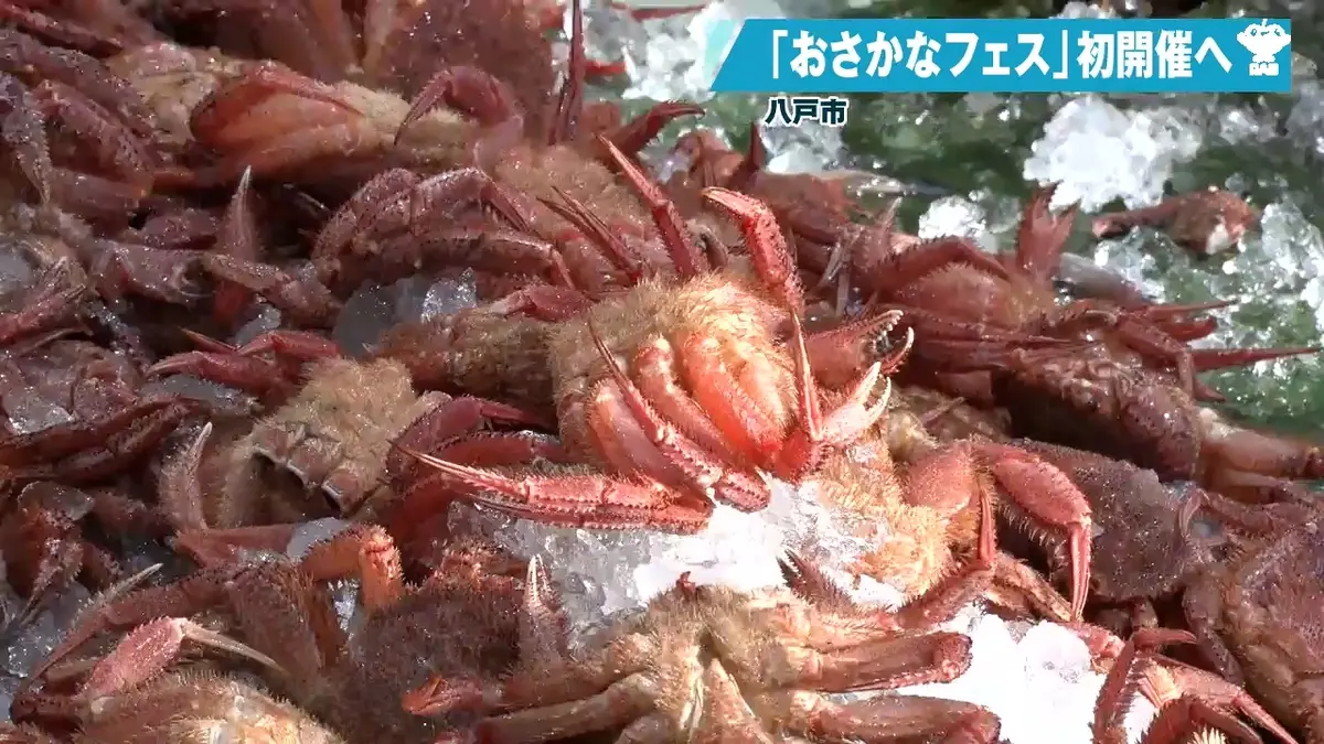 日テレNEWS NNN 6月2日(火) 19:36 鮮魚の直売や解体ショー 新事業