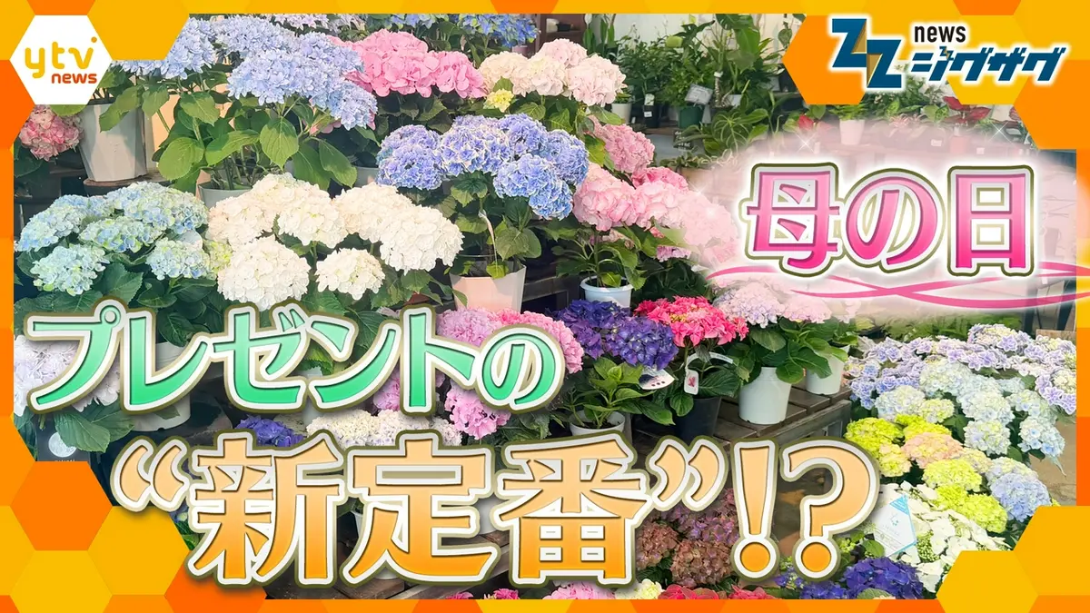 サタデーLIVE ニュース ジグザグ 5月9日(土)放送分 「母の日」の“定番