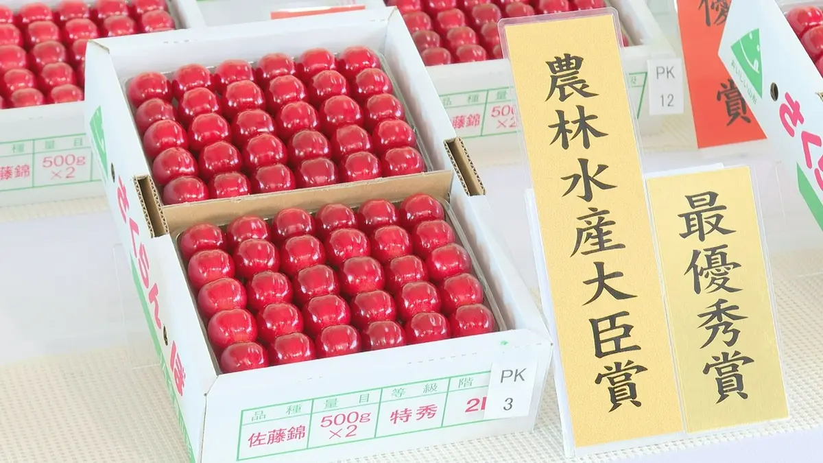 日テレNEWS NNN 6月12日(金) 19:55 「いずれもレベルが高い」佐藤錦の