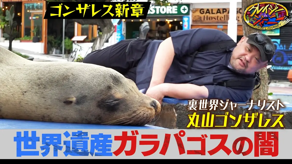 活動歴および当時の関連ビジュアル記録
