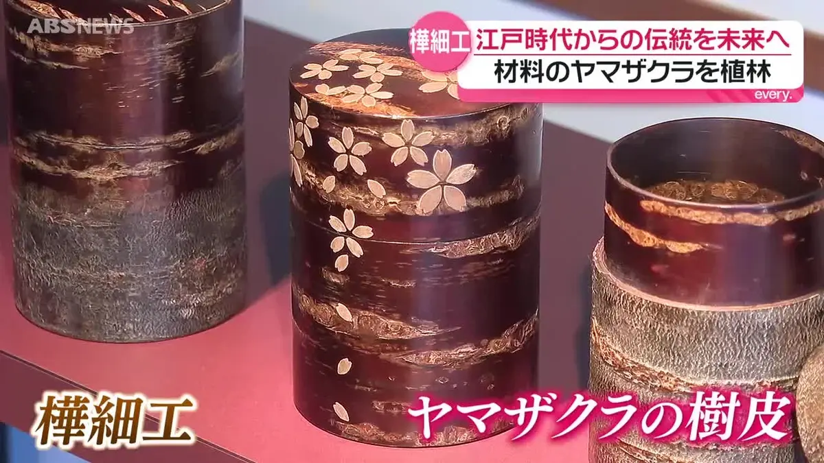 日テレNEWS NNN 4月29日(水) 19:09 樺細工の伝統を未来へ 材料の
