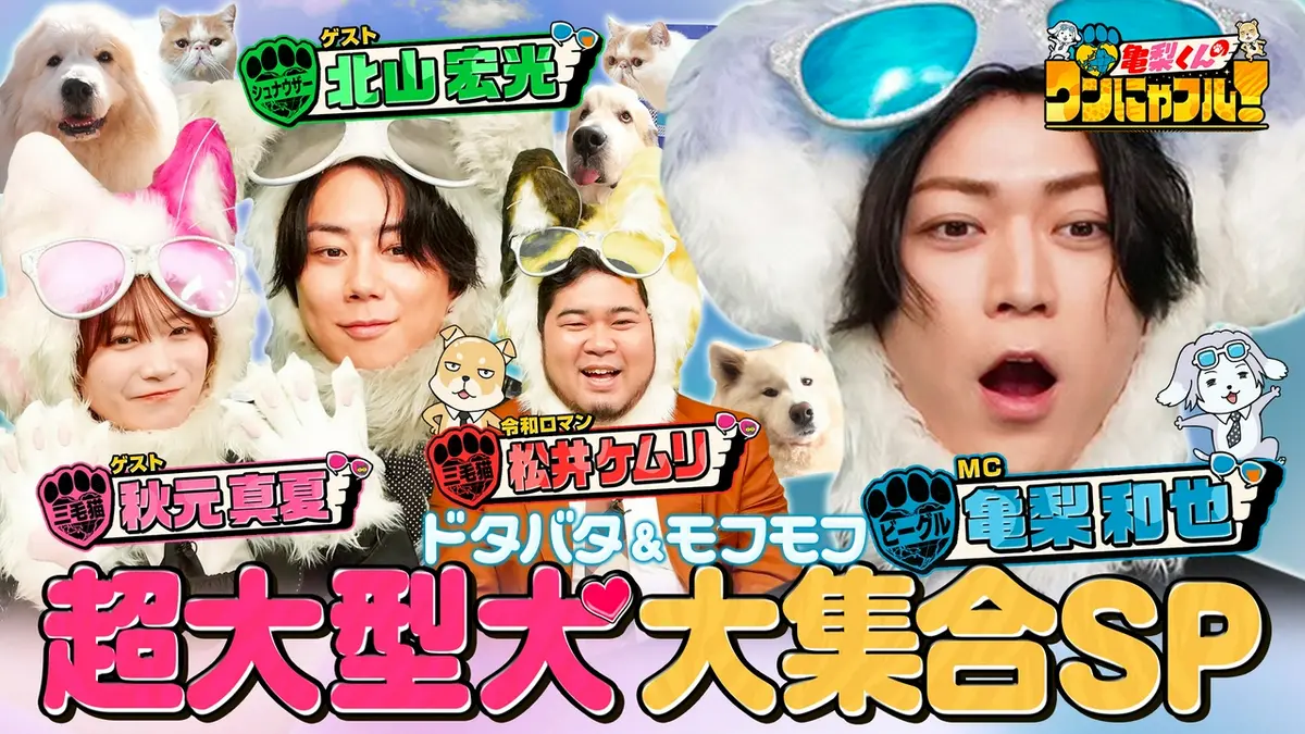 亀梨くんのワンにゃフル！ 4月8日(水)放送分 MC：亀梨和也！計250kg