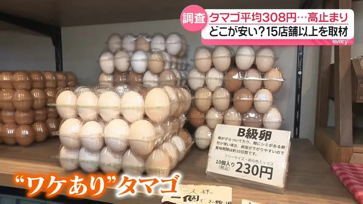 日テレNEWS NNN 4月21日(火) 21:58 高値続くタマゴ、どこが安い？ 15