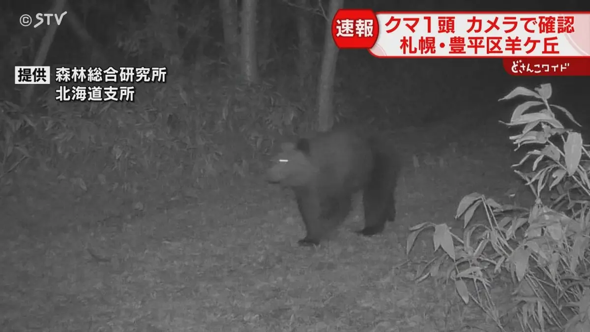 日テレNEWS NNN 5月8日(金) 18:53 【速報】クマの姿がくっきり 札幌市