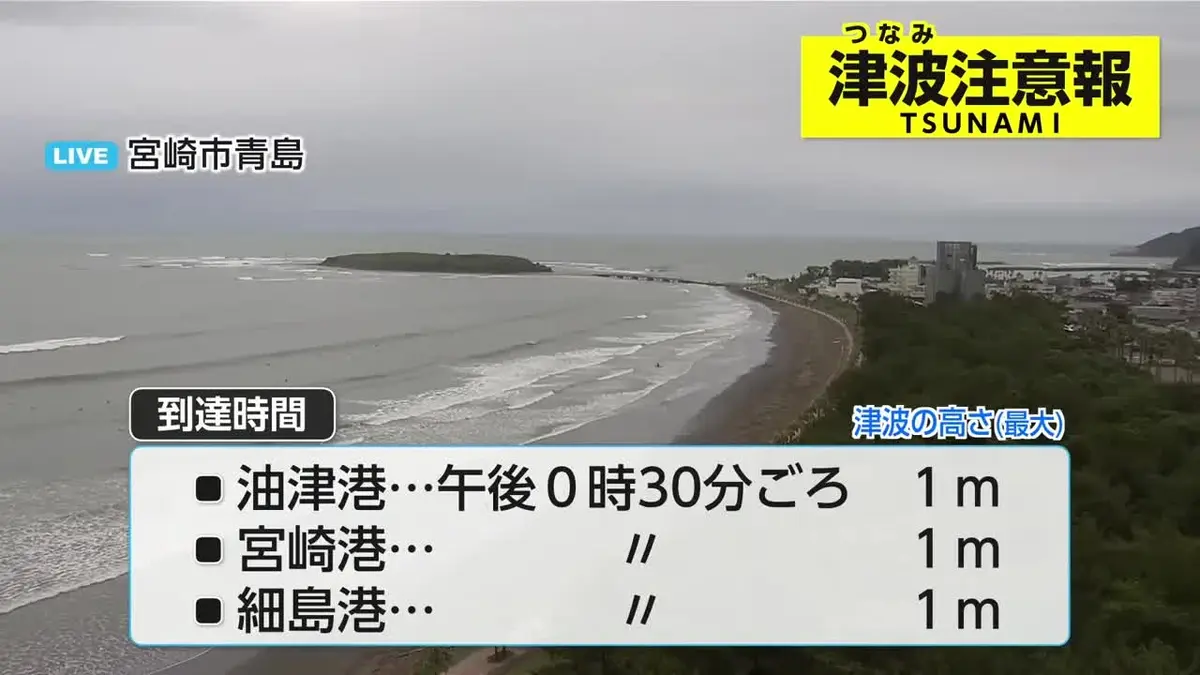 日テレNEWS NNN 6月8日(月) 10:07 宮崎県に津波注意報 8日午後0時半